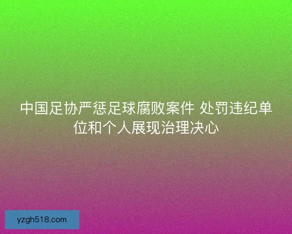 中国足协严惩足球腐败案件 处罚违纪单位和个人展现治理决心